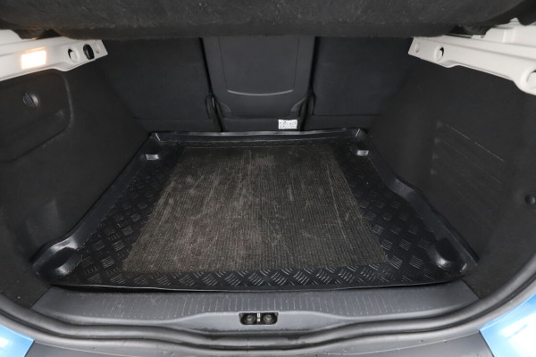 Renault Scenic 1.2 TCe Energy Bose Edition